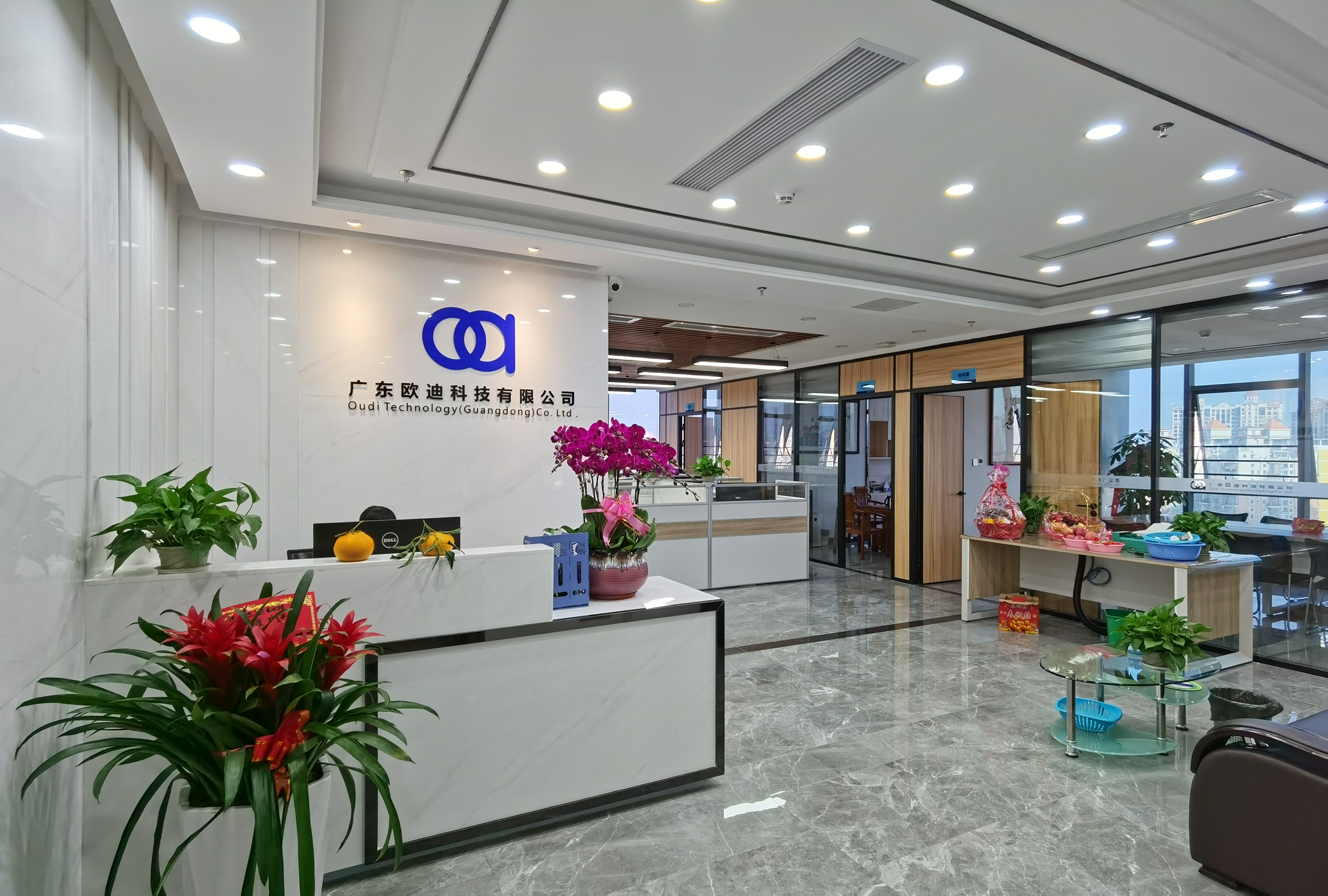 广东欧迪科技有限公司