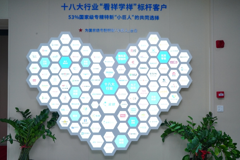 广东云蝶软件有限公司