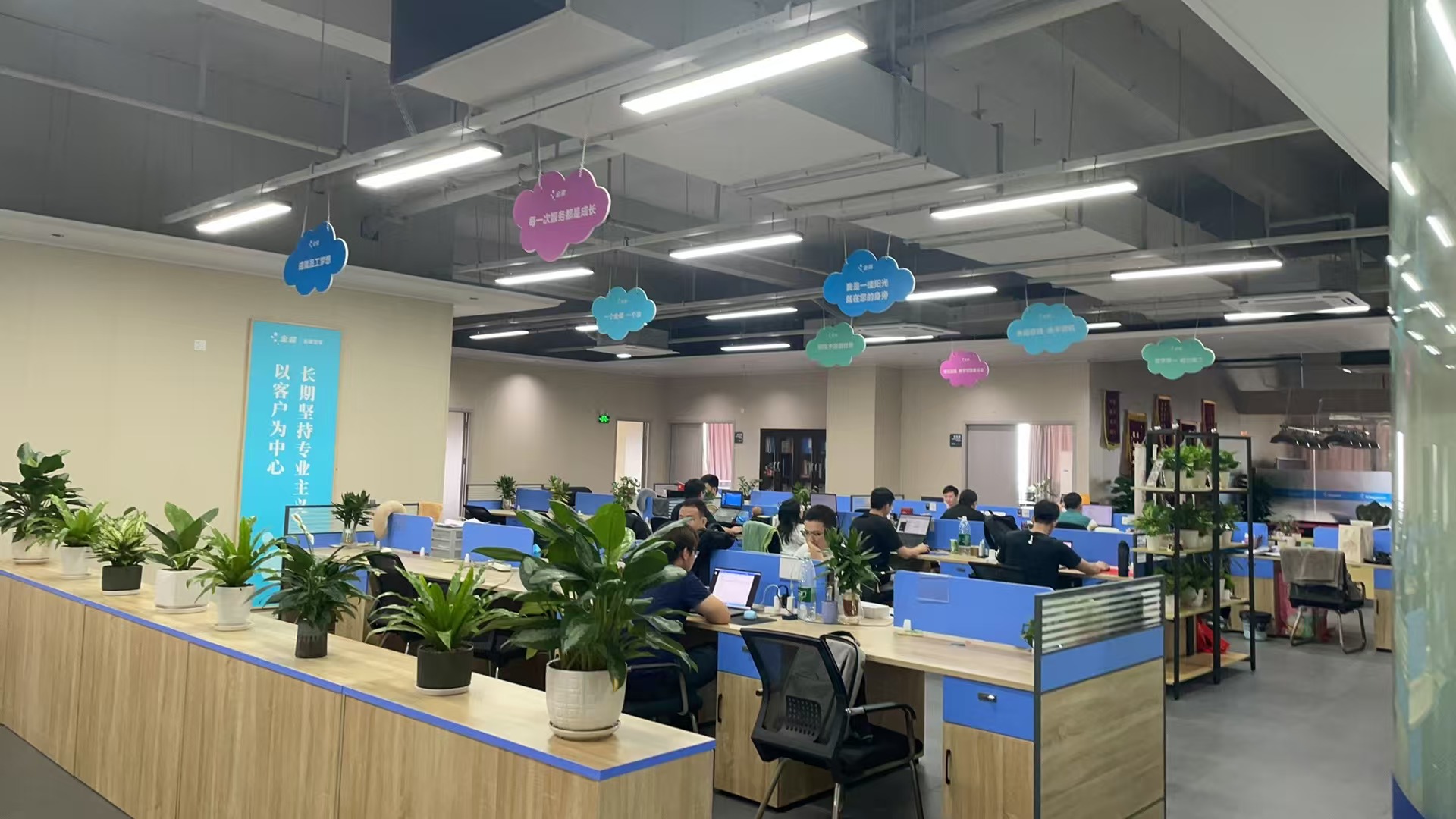 广东云蝶软件有限公司